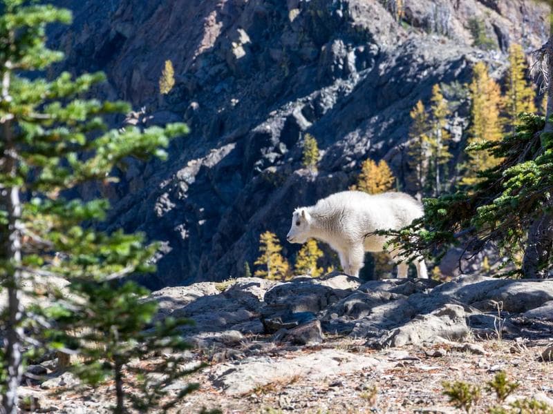 Orientamento e Difficoltà Scolastiche